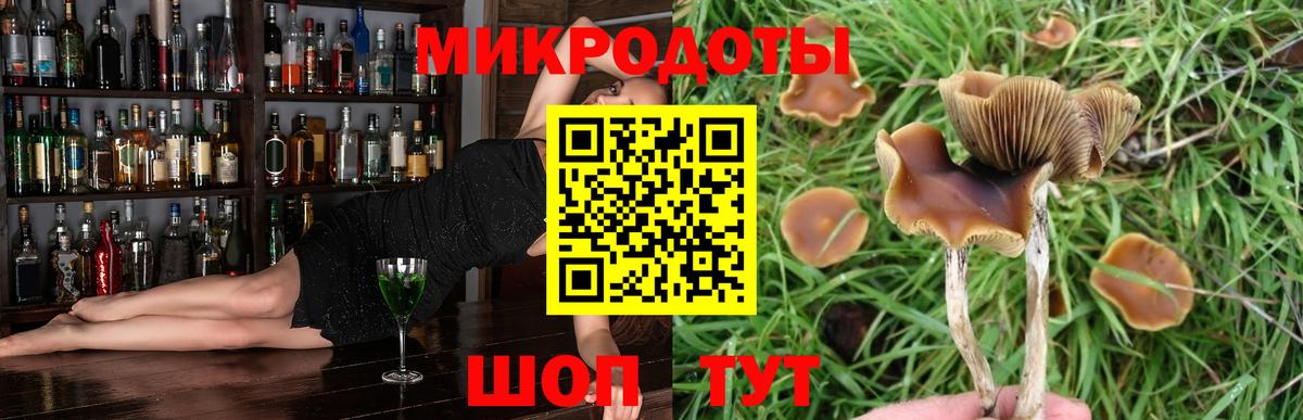 Мытищи  Галлюциногенные грибы мухоморы  Вход с VPN 